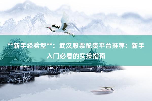 **新手经验型**：武汉股票配资平台推荐：新手入门必看的实操指南