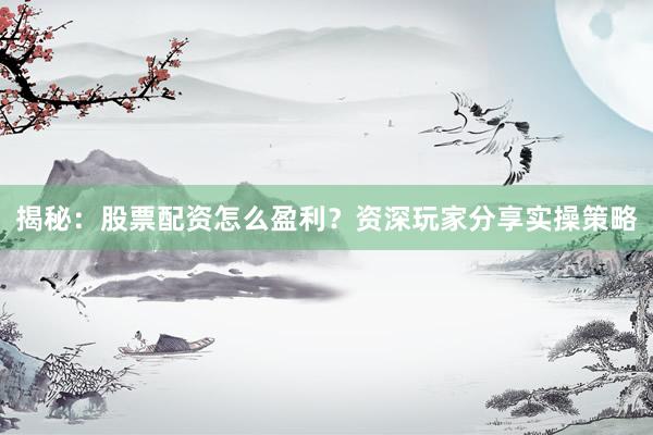 揭秘：股票配资怎么盈利？资深玩家分享实操策略