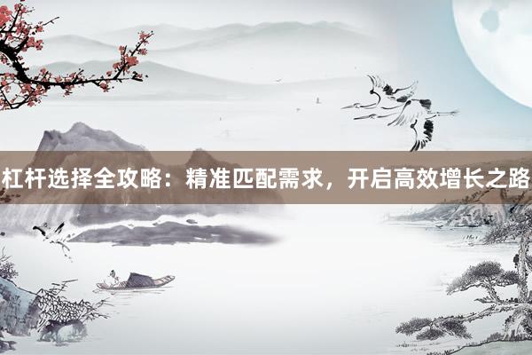 杠杆选择全攻略：精准匹配需求，开启高效增长之路