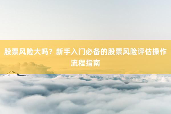 股票风险大吗？新手入门必备的股票风险评估操作流程指南