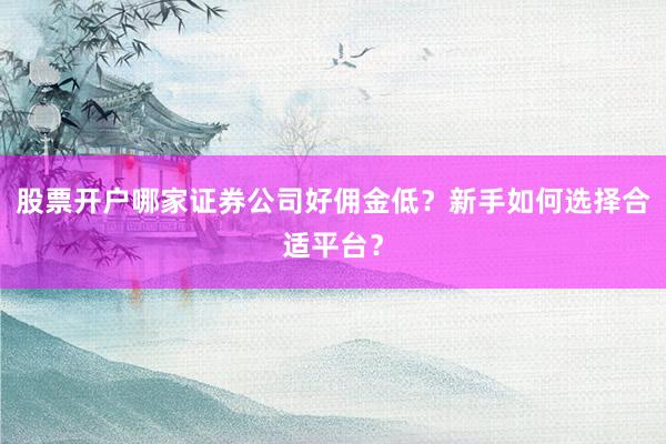 股票开户哪家证券公司好佣金低？新手如何选择合适平台？